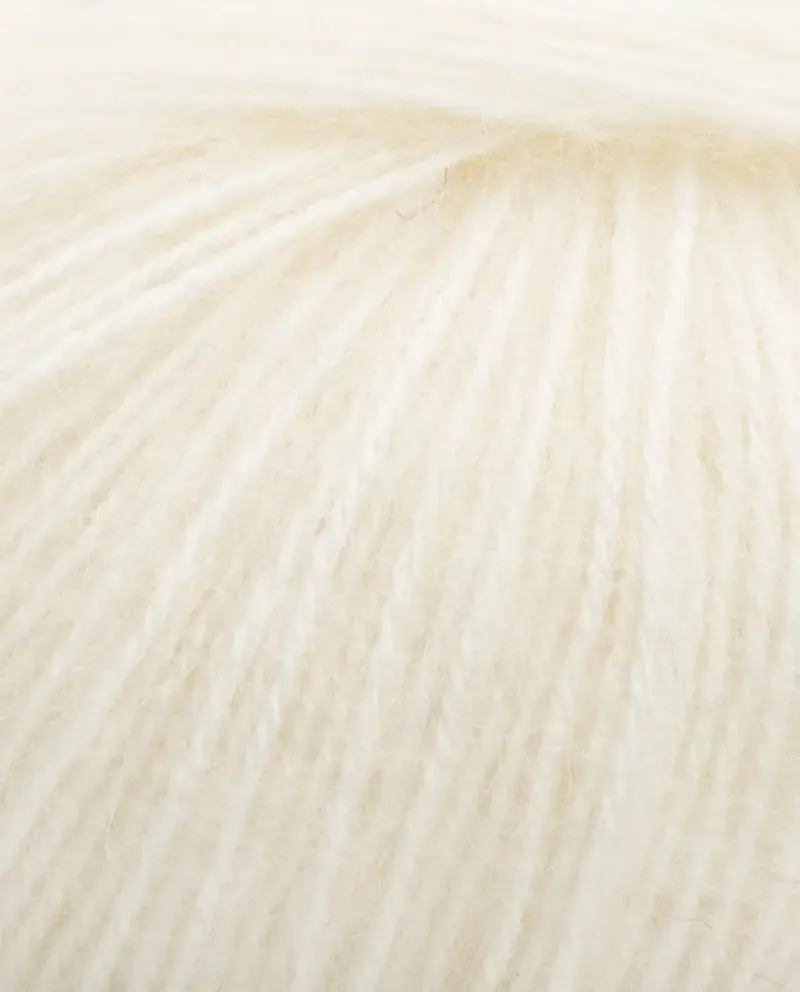 modoux ec.webp2.webp